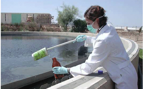PTAR MÓDULO 4: Métodos para Determinar Toxicidad en Agua Residuales y uso de Biorreactores de Membrana